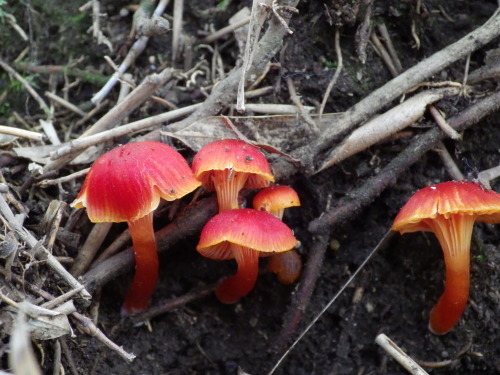 e0352220_10534929.jpg