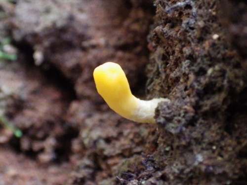 e0352220_11241080.jpg