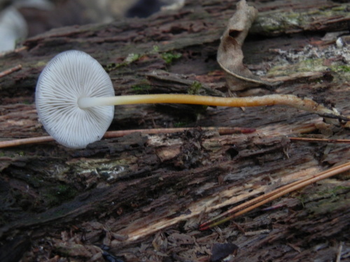 e0352220_11400769.jpg