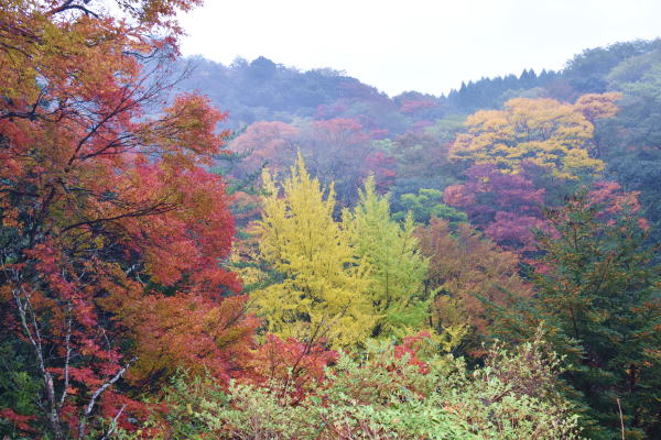 b0046933_21541632.jpg