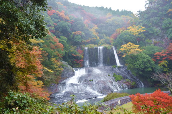 b0046933_21572728.jpg