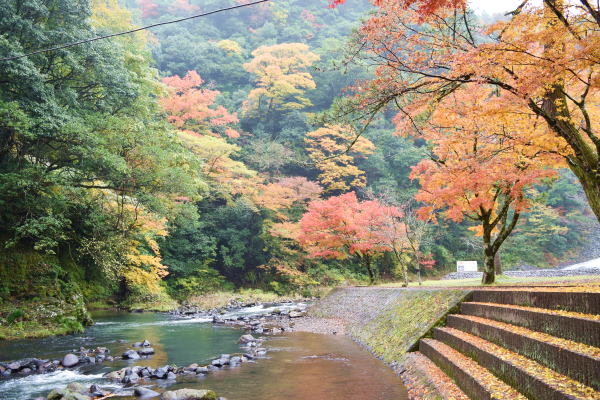 b0046933_21581374.jpg