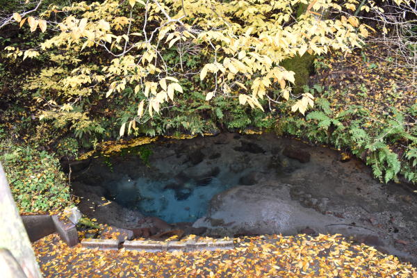 b0046933_2215845.jpg