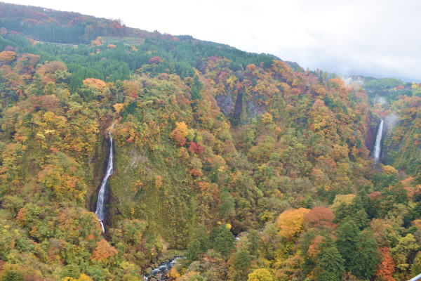 b0046933_22363198.jpg