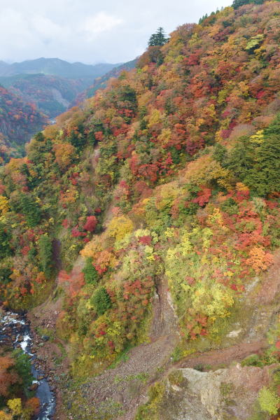 b0046933_22371713.jpg