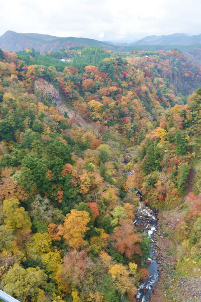 b0046933_22374113.jpg