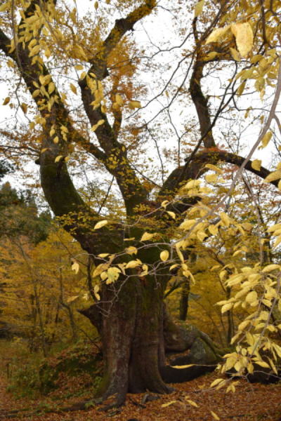 b0046933_2252355.jpg