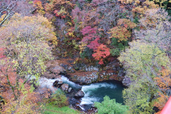 b0046933_2263783.jpg
