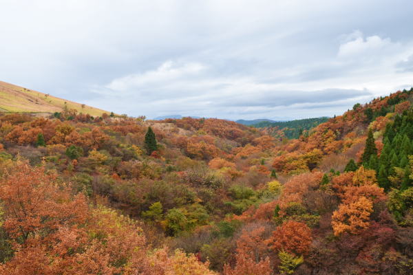 b0046933_2275065.jpg