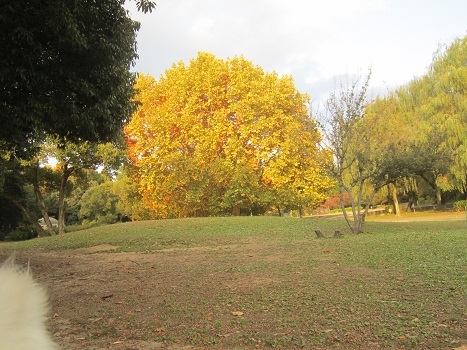 b0177436_11422850.jpg