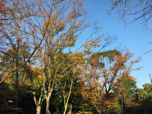 f0008449_09425264.jpg