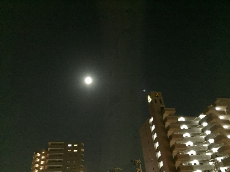 b0367250_00591606.jpg