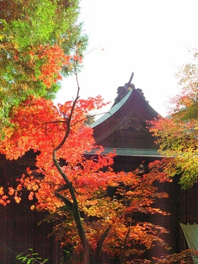 a0018655_12482417.jpg