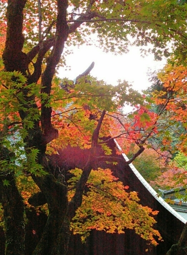 a0018655_12482960.jpg