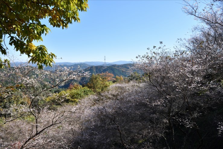 e0170058_16124616.jpg