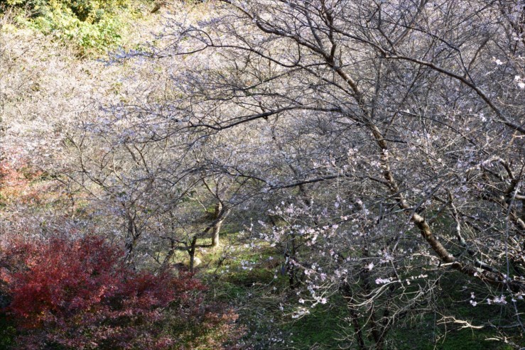 e0170058_16280295.jpg
