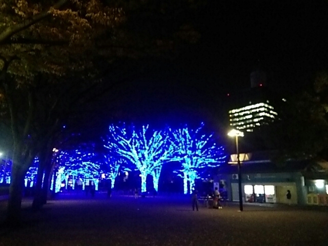 f0043559_10203020.jpg