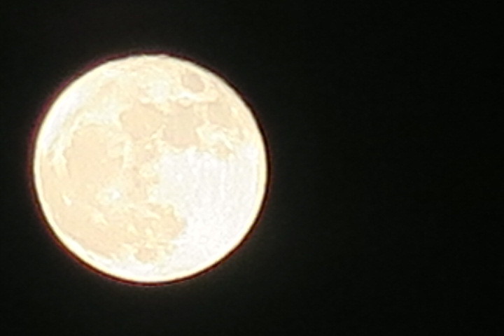 e0292172_20080327.jpg