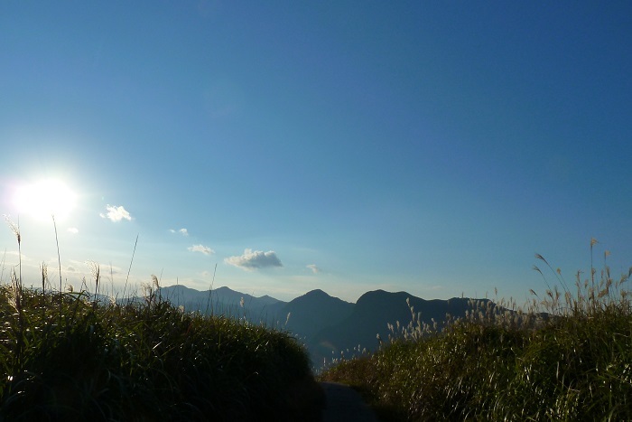 b0326576_16182940.jpg