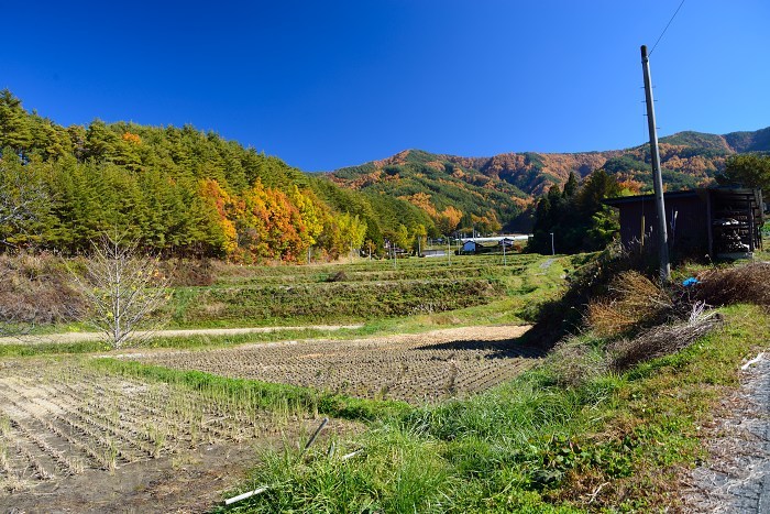 d0341880_08045990.jpg