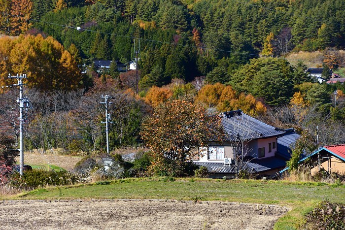 d0341880_08052451.jpg
