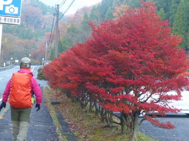 f0357487_22492161.jpg