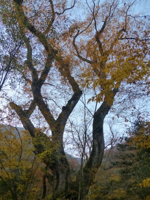 f0357487_2251219.jpg