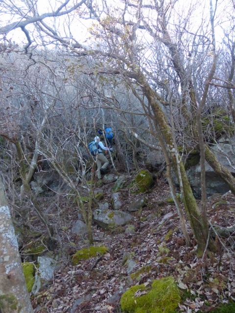 f0357487_23191576.jpg