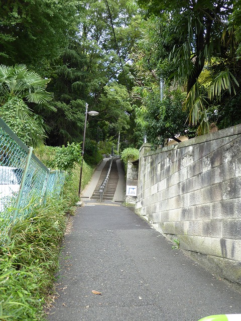 b0287088_2017460.jpg