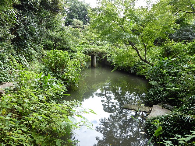 b0287088_2024508.jpg