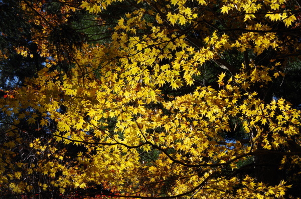 b0356401_22433065.jpg