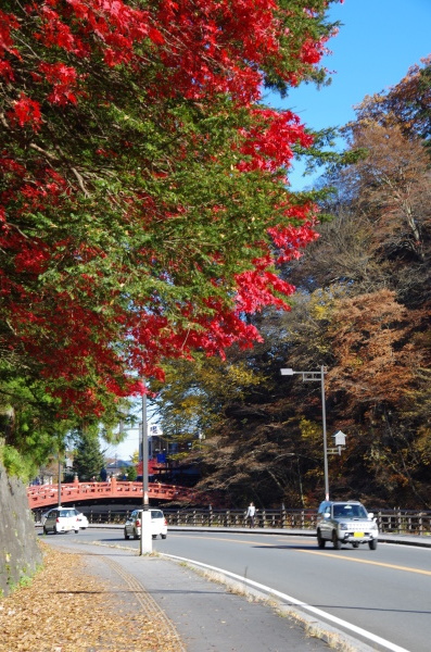 b0356401_22442859.jpg