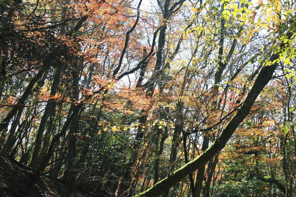 f0212511_13404119.jpg