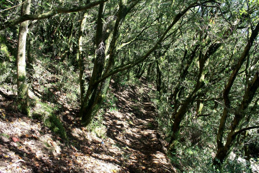 f0212511_13413369.jpg