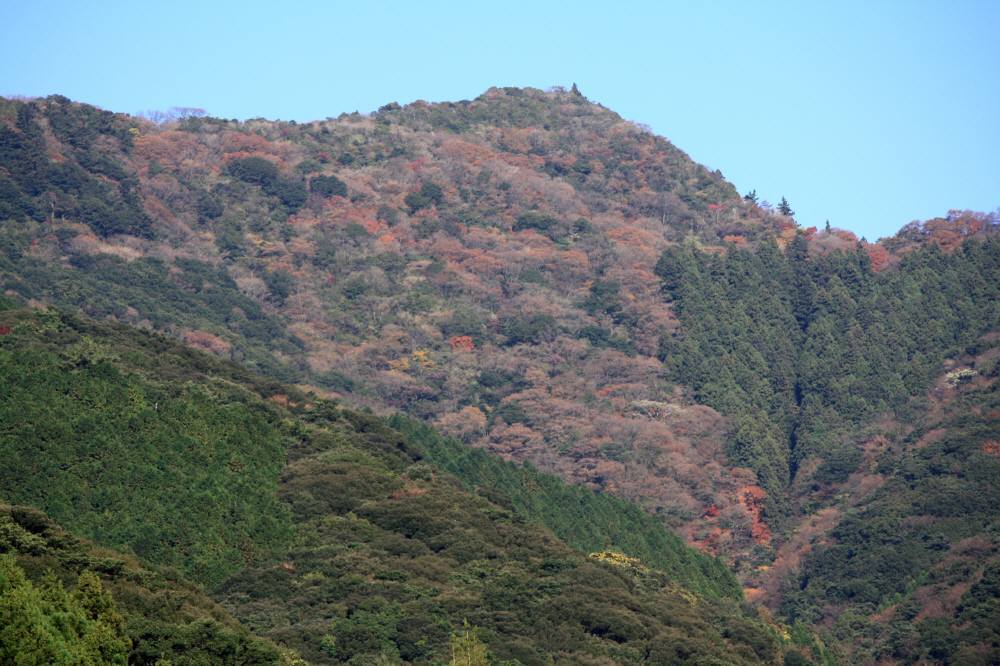 f0212511_13430695.jpg