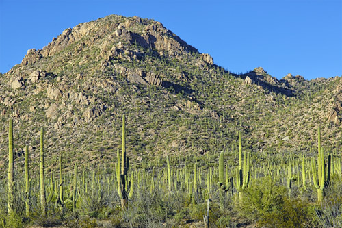 c0148812_1235014.jpg