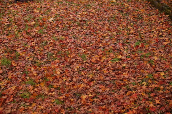 c0020320_19571313.jpg