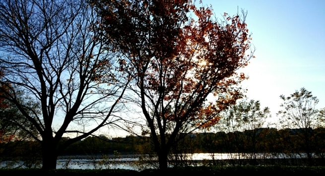 b0251624_08535672.jpg