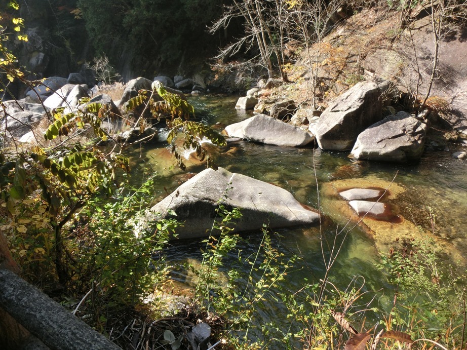 d0018424_14153151.jpg
