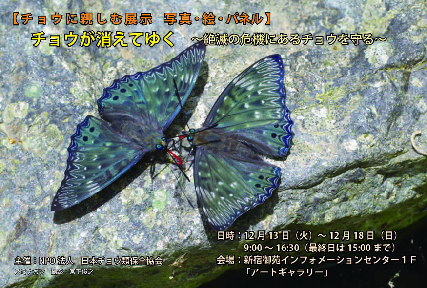 a0126632_17205444.jpg
