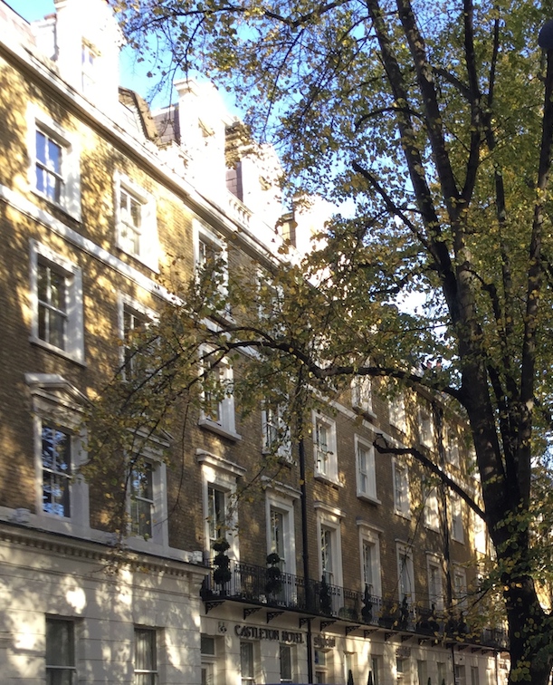 c0246034_1054171.jpg