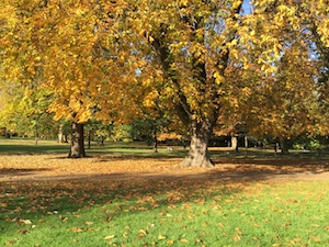 c0246034_1153311.jpg