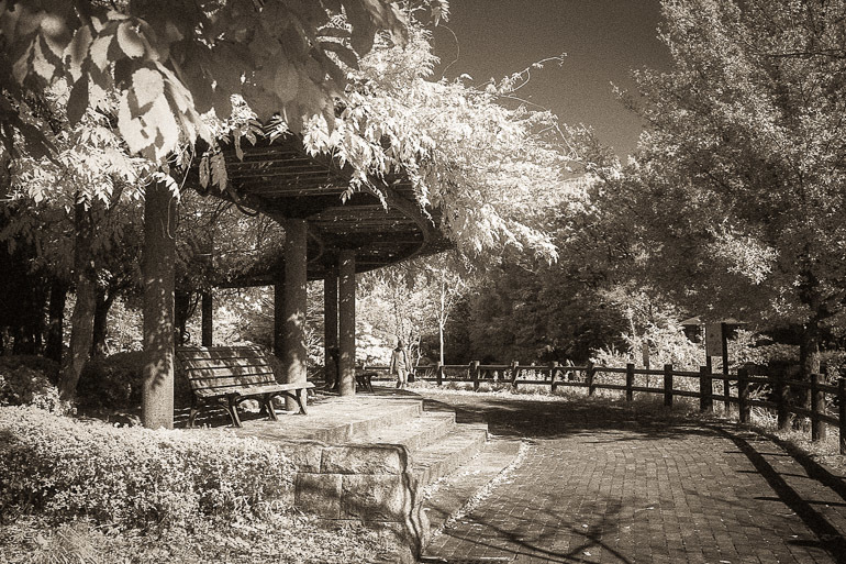 f0265234_22055980.jpg