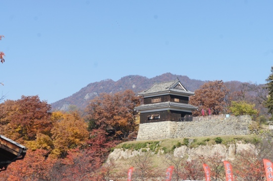 f0368538_16135783.jpg
