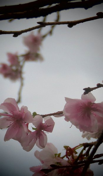 b0341140_1645023.jpg