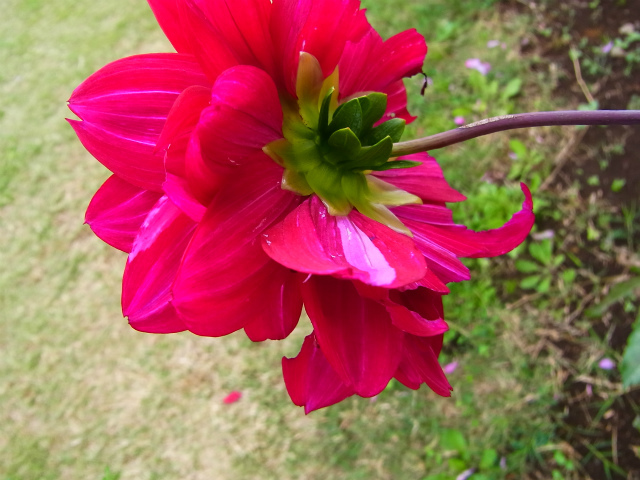 a0087341_08175101.jpg
