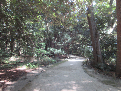 e0333647_10314437.jpg