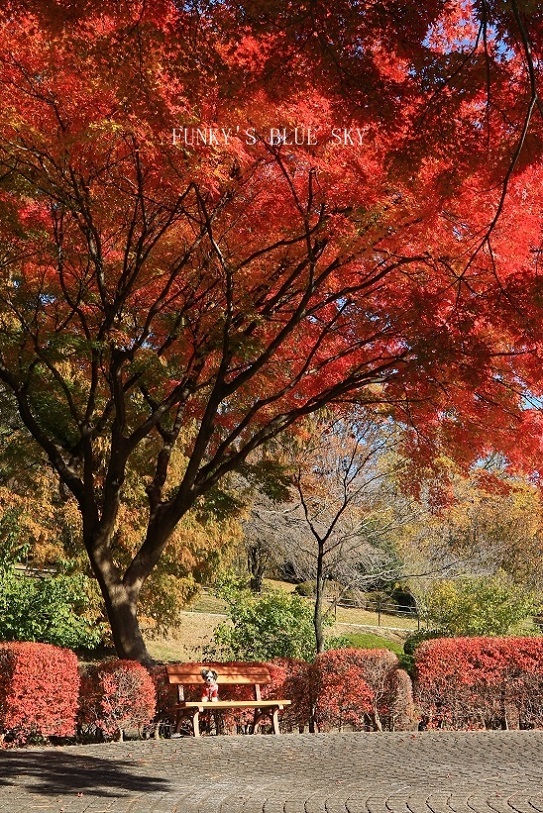 c0145250_11055838.jpg