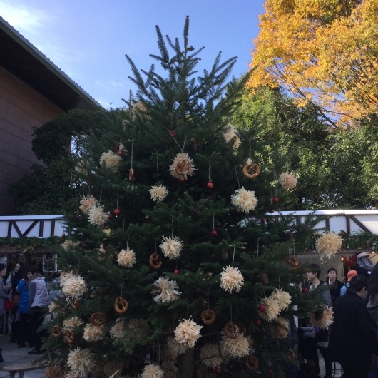 c0358850_10373560.jpeg
