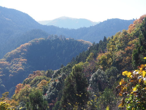 b0335256_19223124.jpg